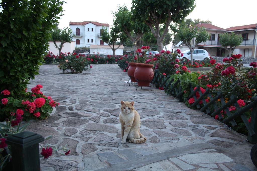 Villa Vicky Πέτρα Εξωτερικό φωτογραφία